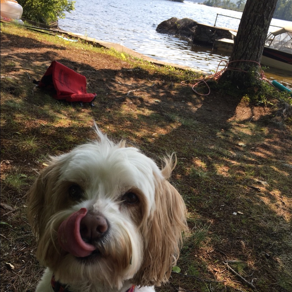 Meet your Posher, Erin